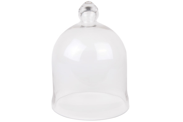 ct_glazen_stolp_24cm.jpg
